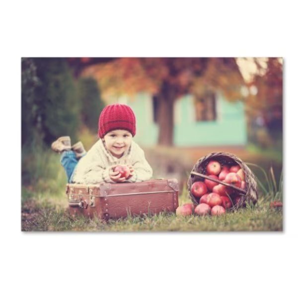 Tatyana Tomsickova 'Apple Season' Canvas Art, 16x24, Trademark Fine Art, Mfr#: 1X02494-C1624GG